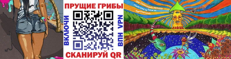 Галлюциногенные грибы GOLDEN TEACHER купить цена Никольское