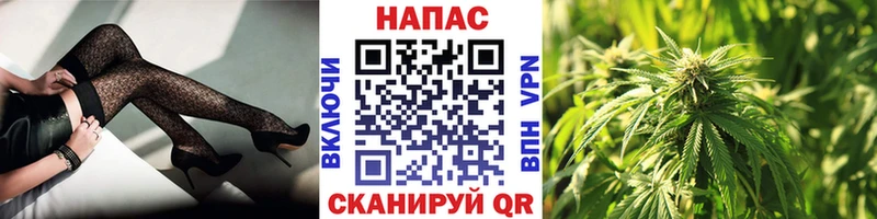 mega как зайти  Никольское  Шишки марихуана Amnesia  хочу наркоту 